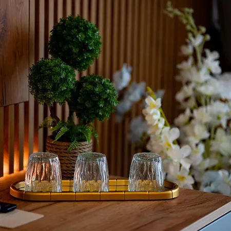 Hanul Domnesc Imperial & Hotel *